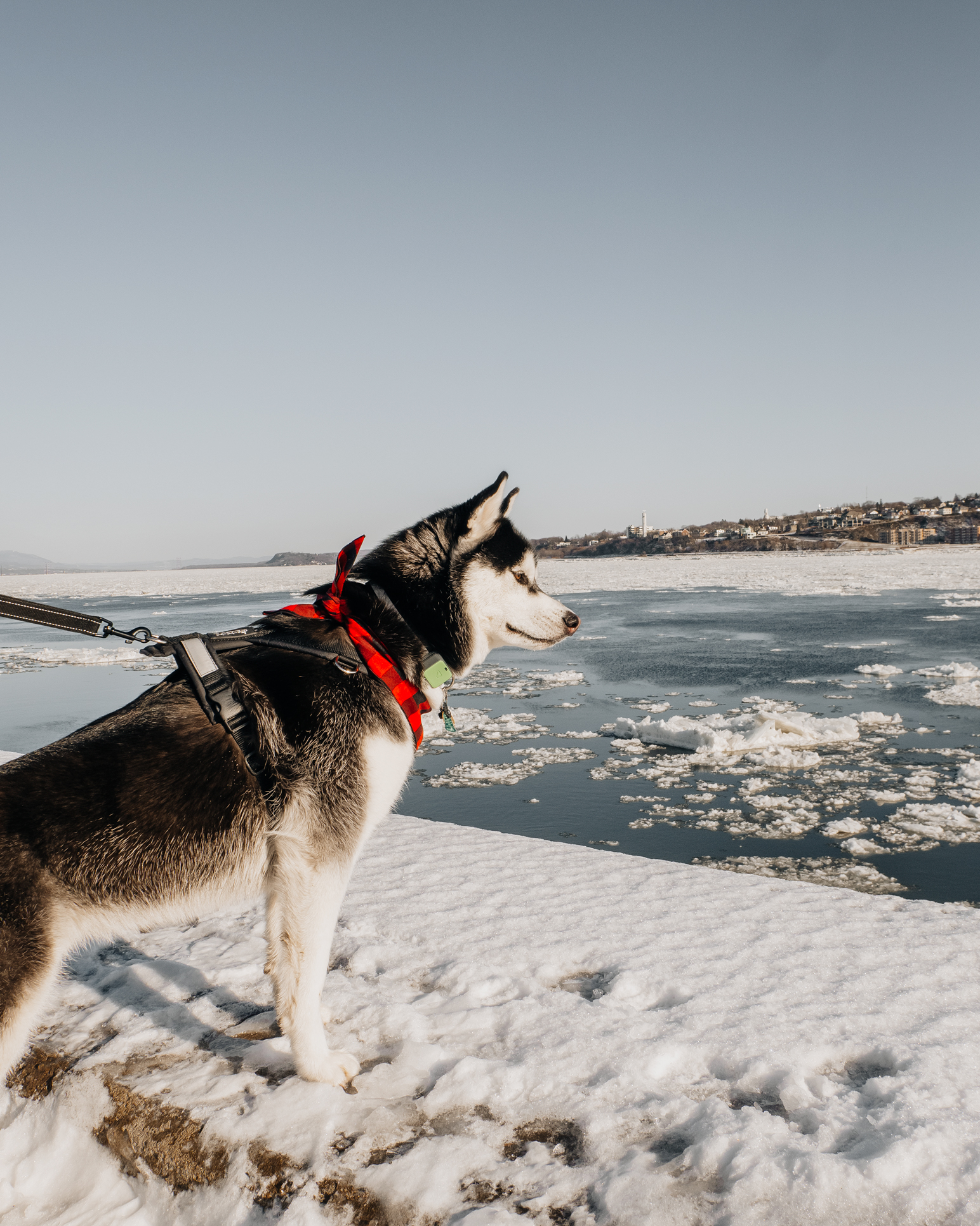 SIBE LIFE | Christmas in Quebec | St. Lawrence River