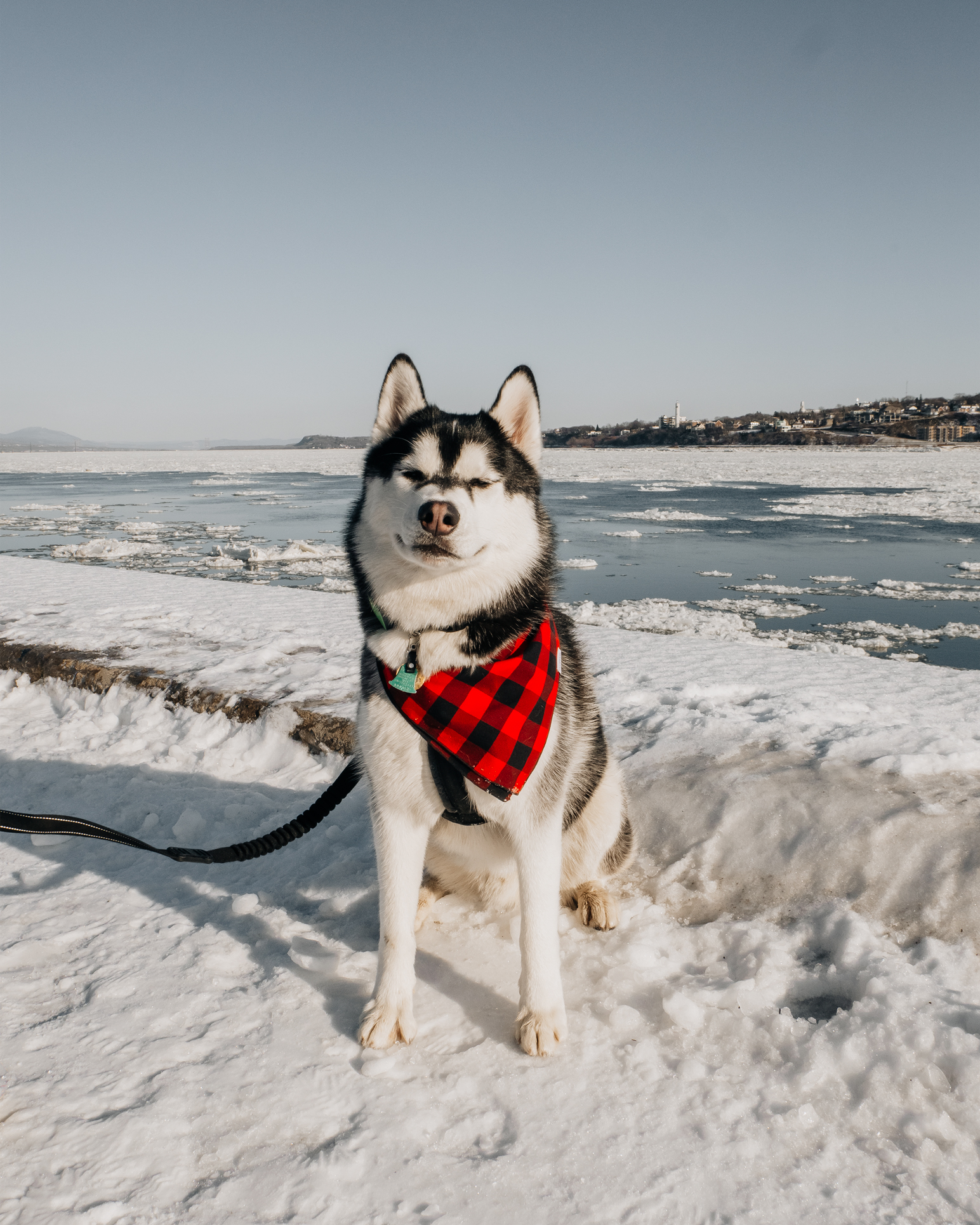 SIBE LIFE | Christmas in Quebec | St. Lawrence River