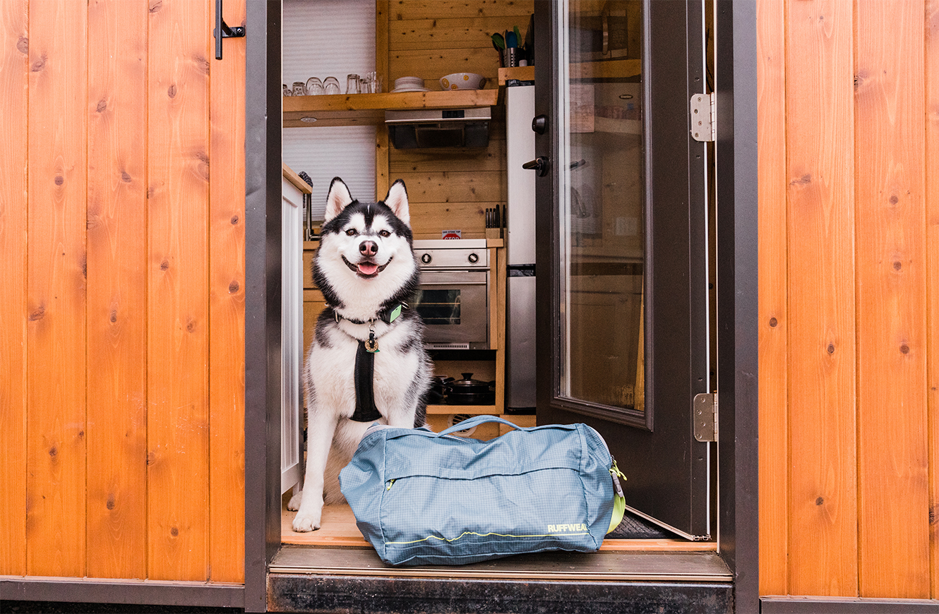 Dog-friendly weekend getaway at Think Big! A Tiny House Resort