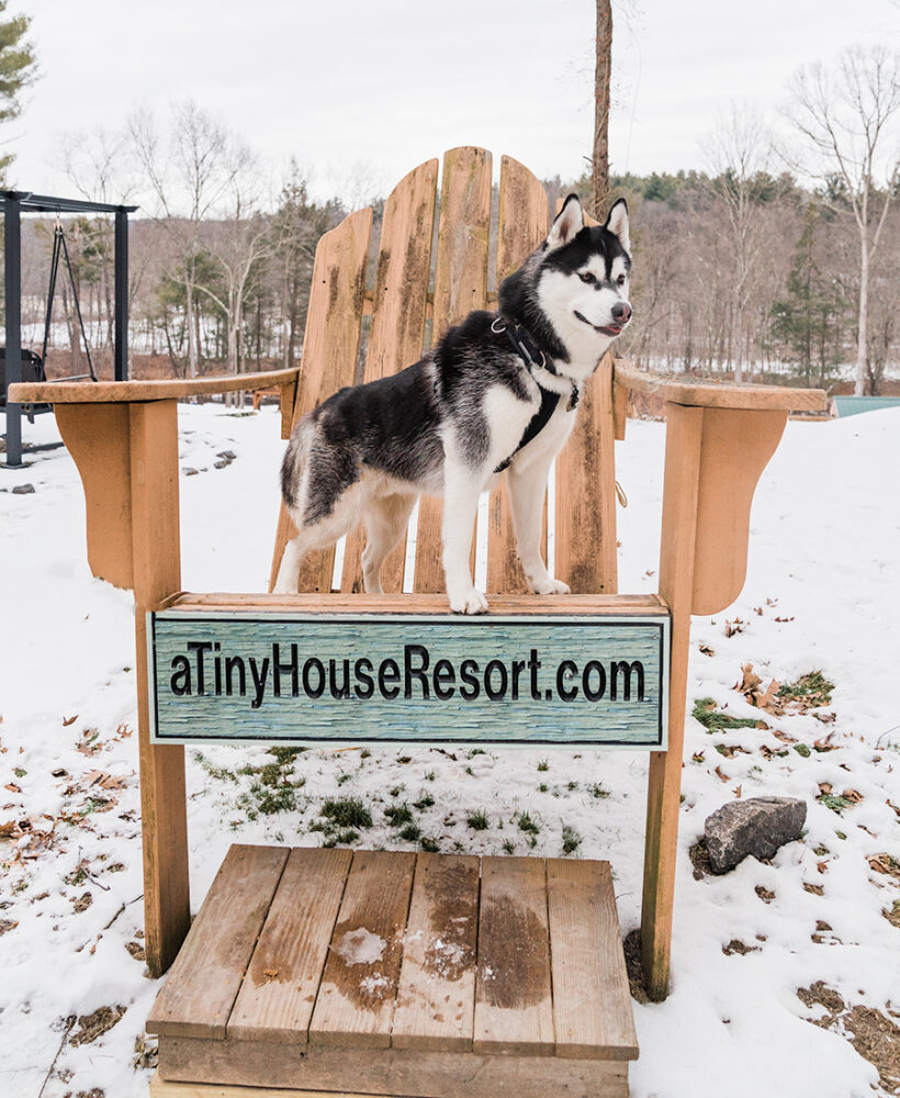 SIBE LIFE | Dog-Friendly A Tiny House Resort in Catskills, NY