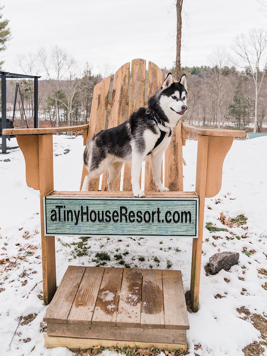 SIBE LIFE | Dog Friendly A Tiny House Resort in Catskills,NY.