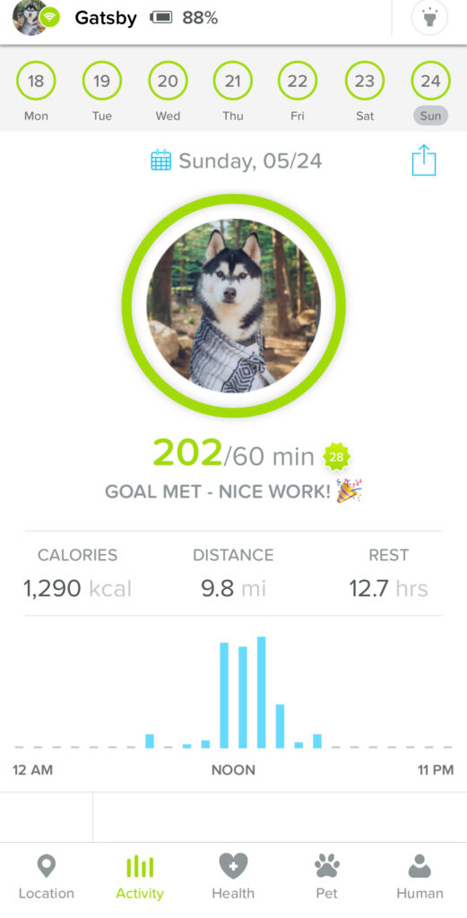 GPS and health tracker for pets