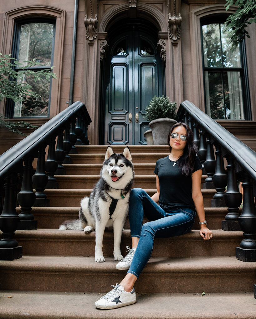Apartment Living with a Siberian Husky