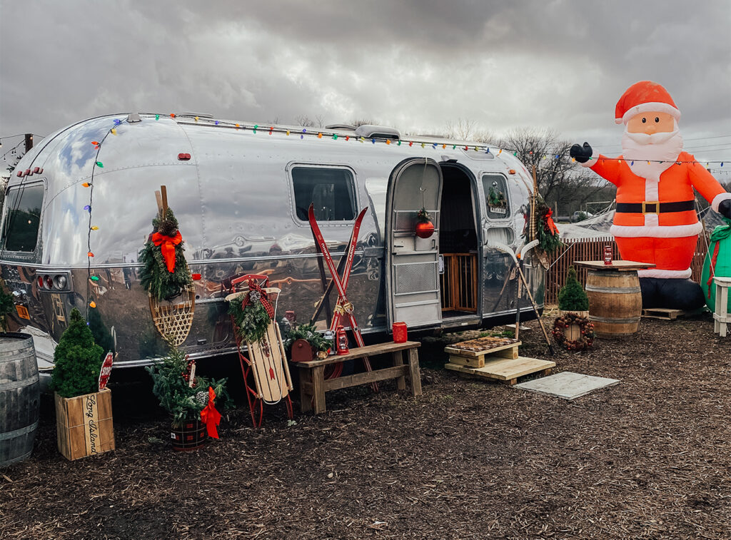 dog-friendly Christmas tree farm