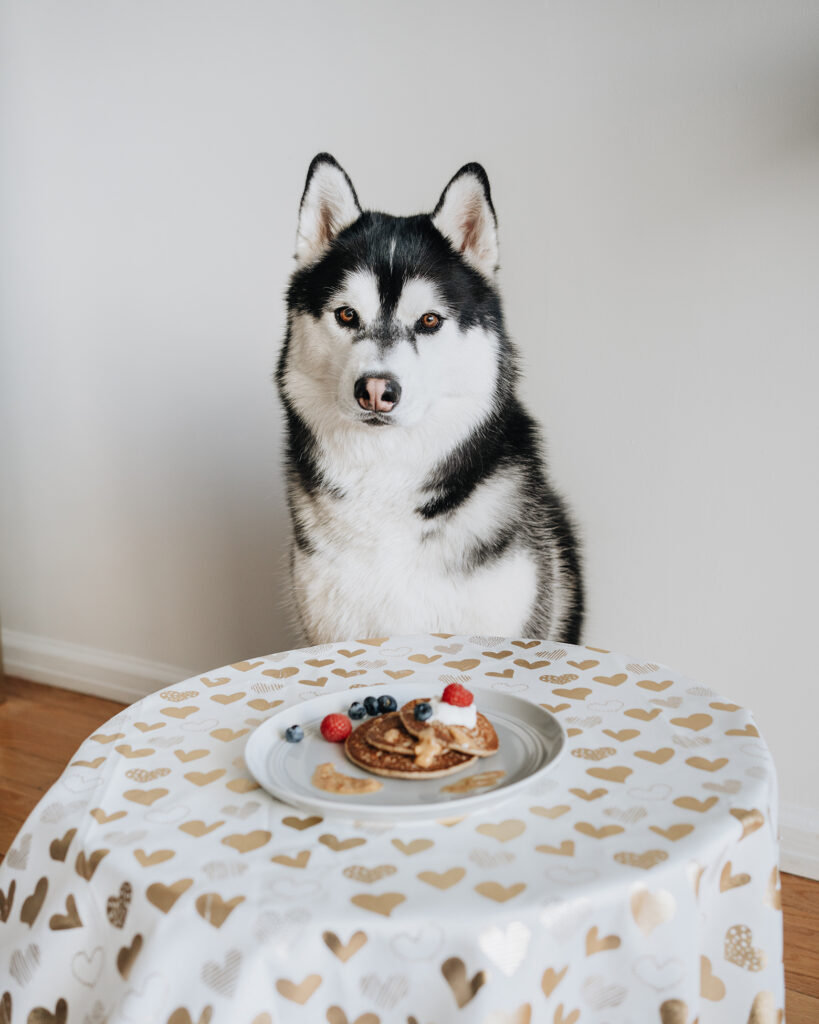 Healthy Pancakes To Share With Your DogHealthy Pancakes To Share With Your Dog