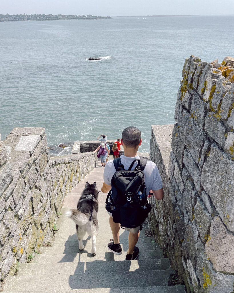 The 40 steps dog-friendly newport rhode island