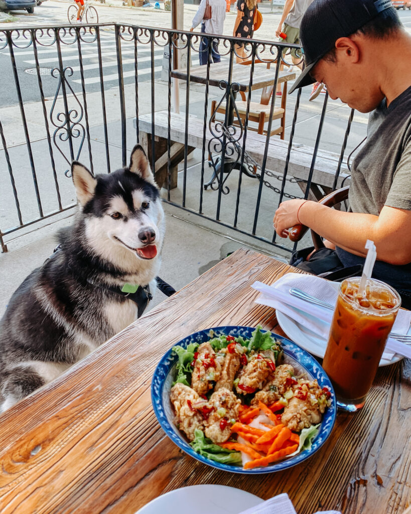 Dog-Friendly New York city restaurant | Mekong Brooklyn NYC