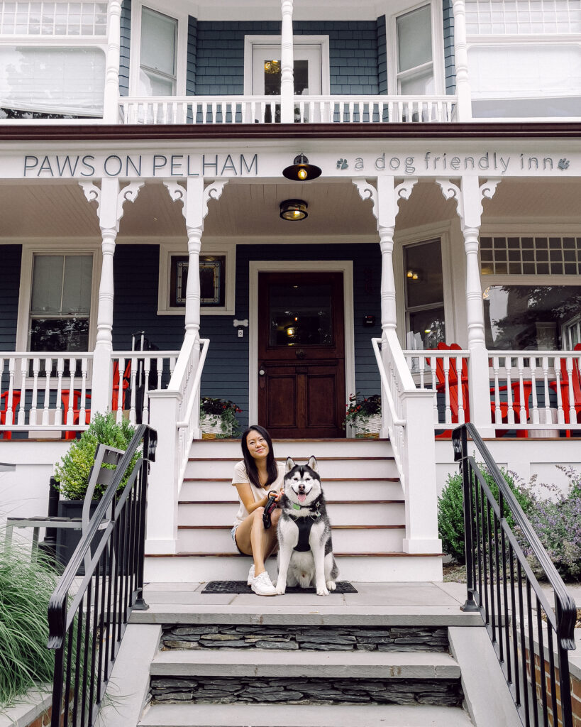 Paws on Pelham Dog Friendly Newport Rhode Island