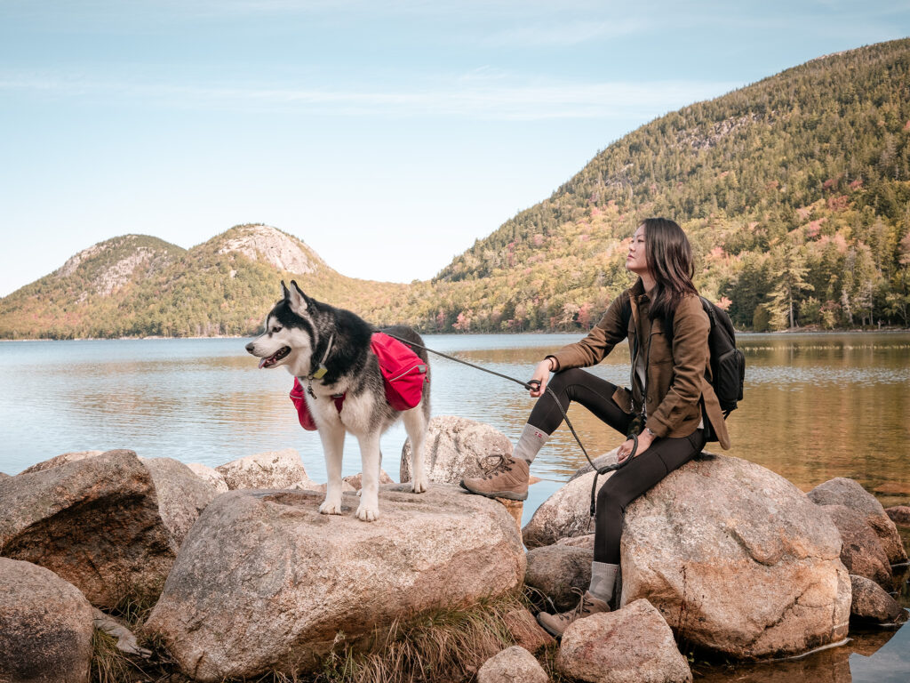 Hiking at Acadia National Park with Dogs | SIBE LIFE