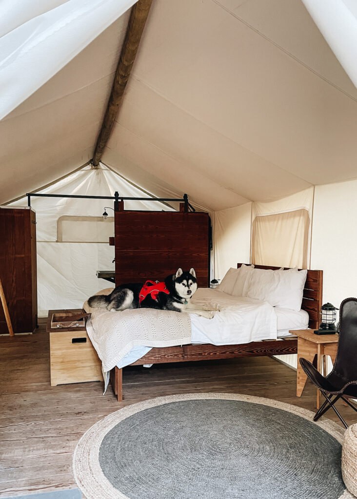 Dog-friendly Under Canvas Acadia. Best glamping experience in Maine.