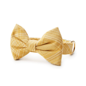 Buttercup Plaid Flannel Bow Tie Collar