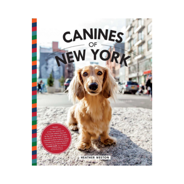 SIBE LIFE | Canines of New York | Dog-Themed Coffee Table Books