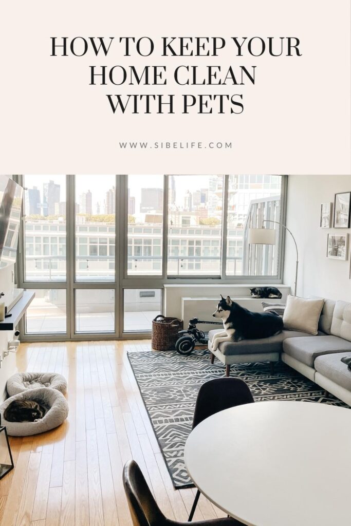 How to keep your home clean with pets