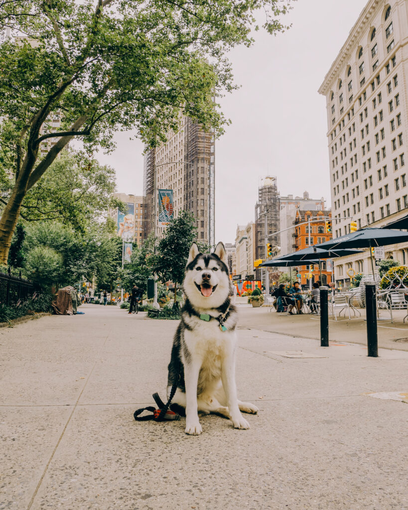 SIBE LIFE | Gatsby at Flatiron Building in NYC | Instagram Spots NYC