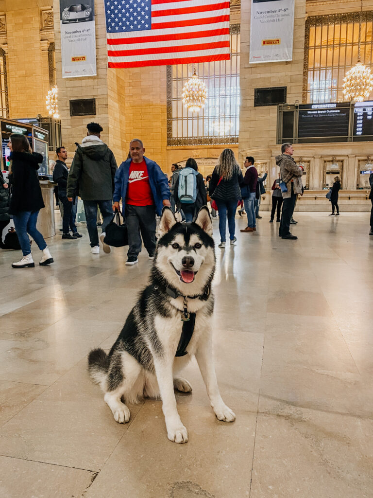 SIBE LIFE | Gatsny at Grand Central Terminal | Instagram Spots NYC