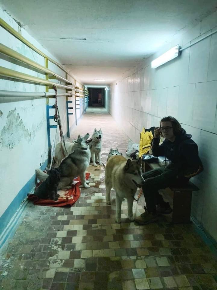ukraine pet parent fleeing with pets