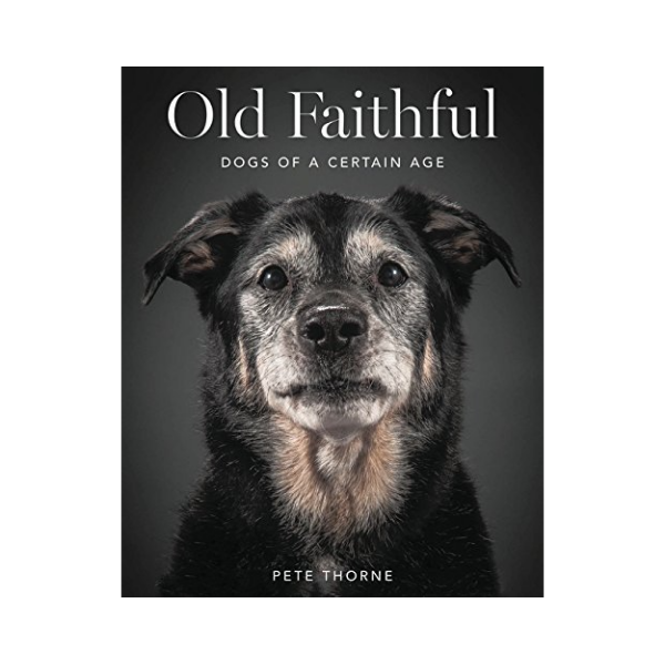 SIBE LIFE | Old Faithful | Dog-Themed Coffee Table Books