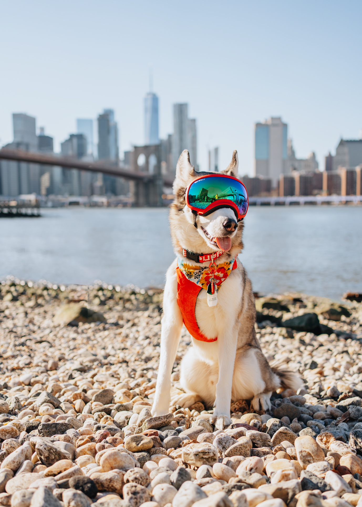 SIBE LIFE | Pebble Beach in Brooklyn Bridge Park | Instagram Spots in NYC