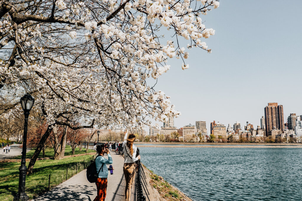 The Reservoir at Central Park