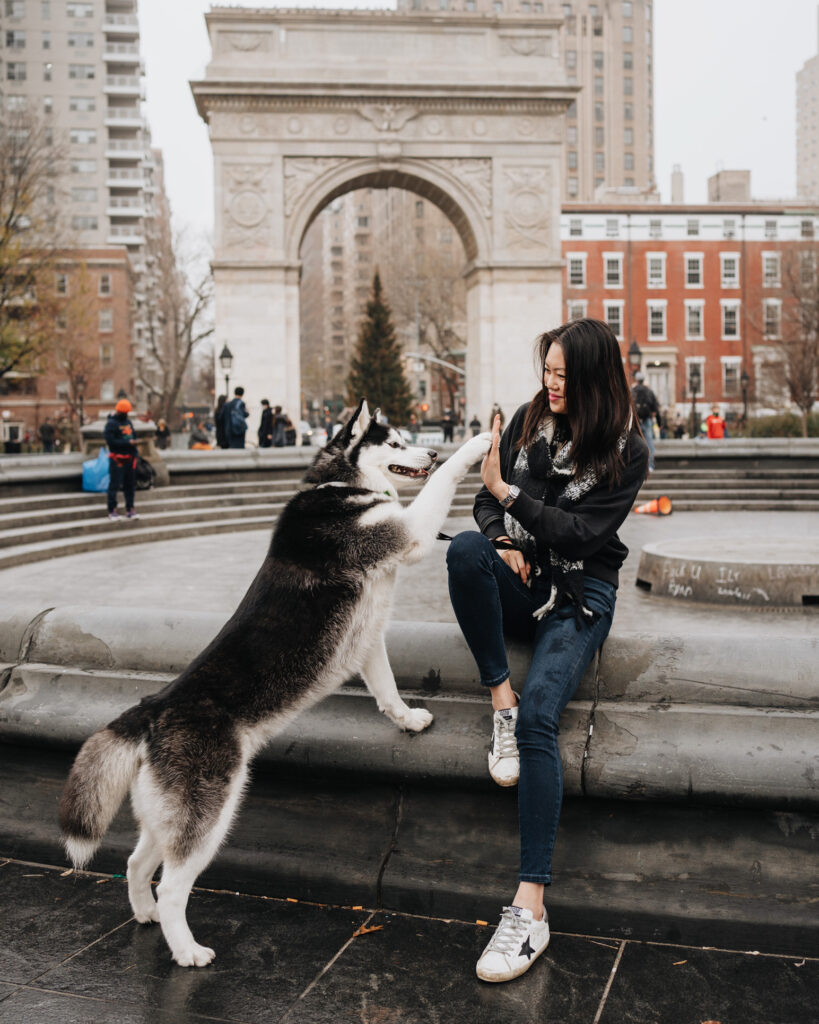SIBE LIFE | Washington Square Park | Instagram Spots NYC