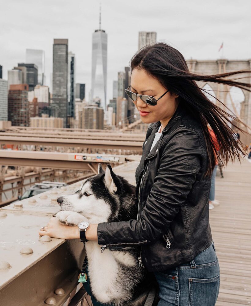 SIBE LIFE | Best Dog-Friendly Instagram Spots in NYC