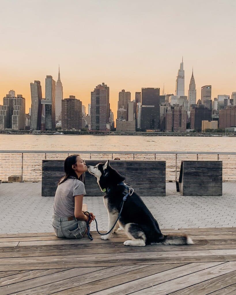 Dog Friendly New York City Ultimate Guide