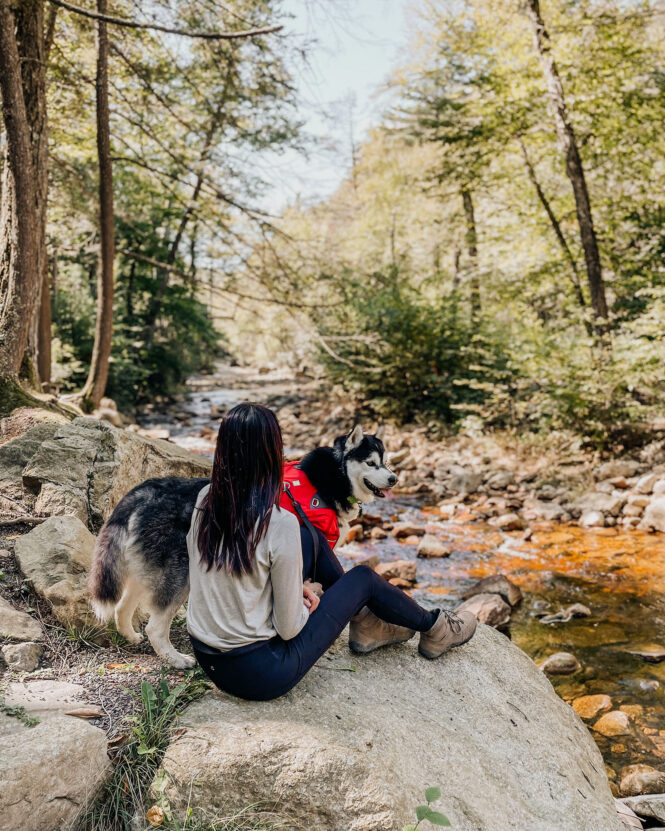 Best Dog-Friendly Hikes Near NYC