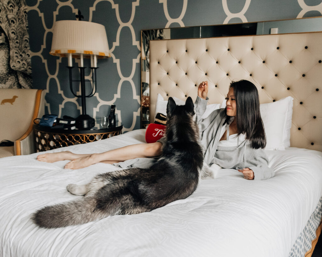SIBE LIFE | Elaine and Gatsby the Siberian Husky stays at Kimpton Monaco Hotel in dog-friendly Philadelphia.