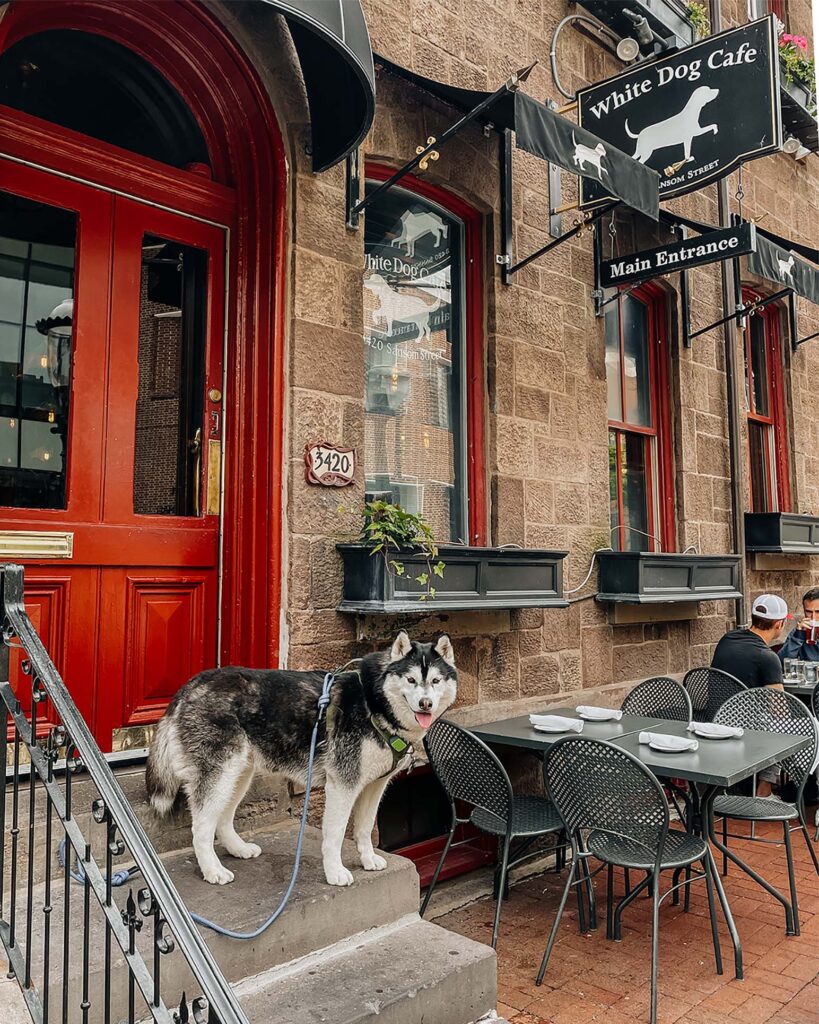 Dog Friendly Places in Philadelphia - Where to eat