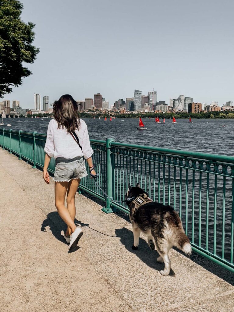 Charles River Esplanade | Dog-Friendly things to do in Boston