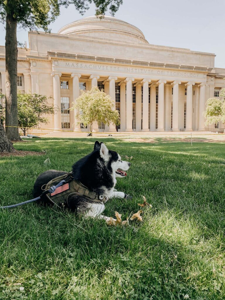 Massachusetts Institute of Technology (MIT)  | Dog-Friendly things to do in Boston