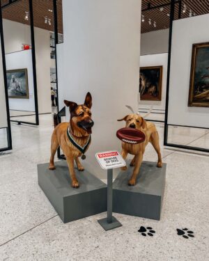 Dog-Friendly Museum in NYC: AKC Museum of the Dog