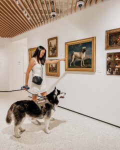 Dog-Friendly Museum in NYC: AKC Museum of the Dog