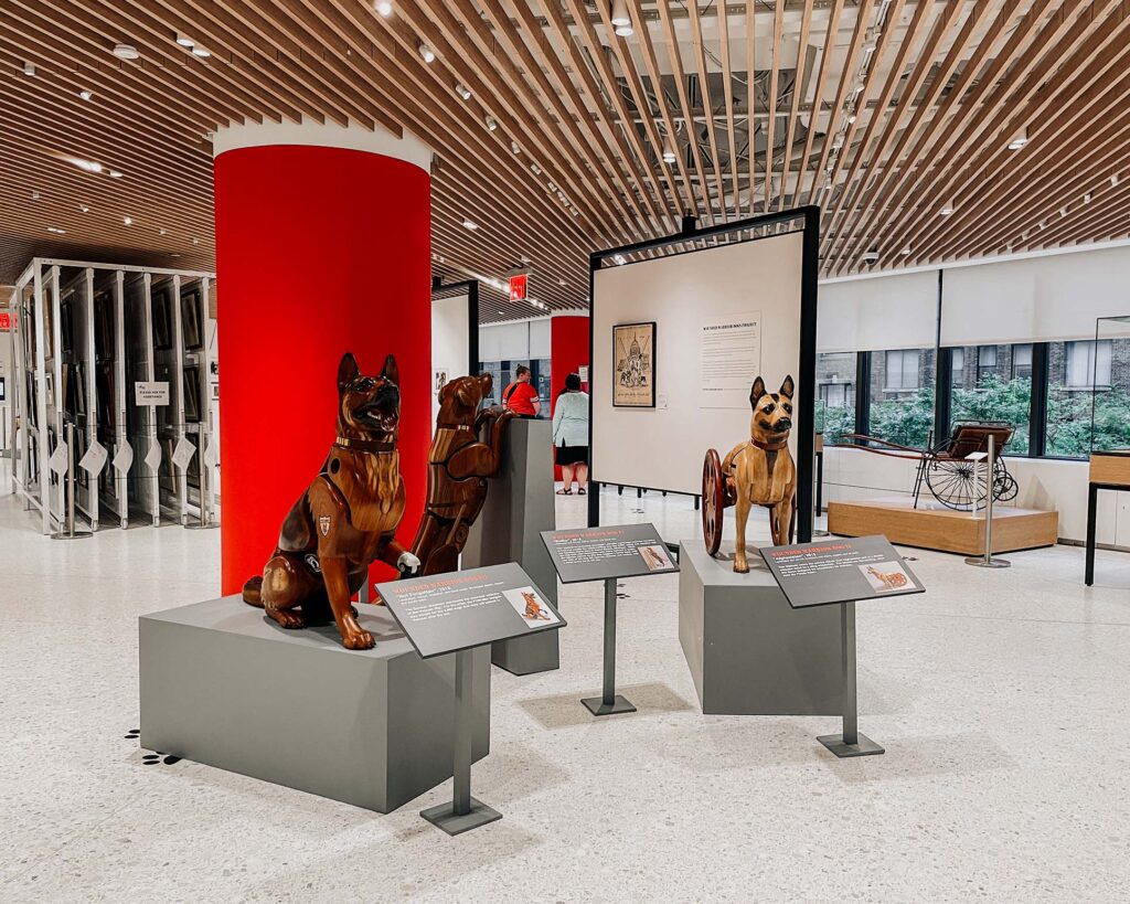 Dogs of War and Peace Exhibit | AKC Museum of the Dog | Dog-Friendly Museum in NYC