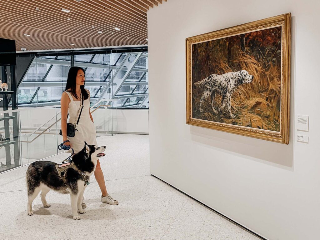 Dog-Friendly Museum in NYC | AKC Museum of the Dog | Furry Fridays