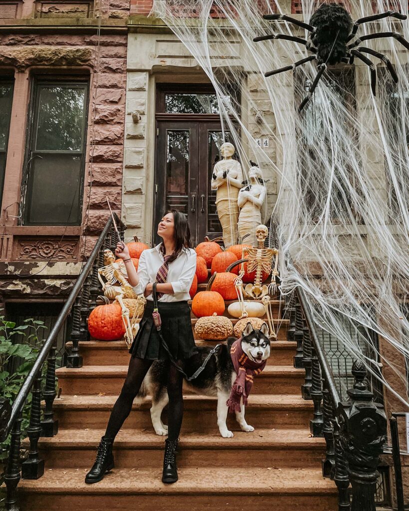 Halloween Fall Dog Photoshoot in NYC