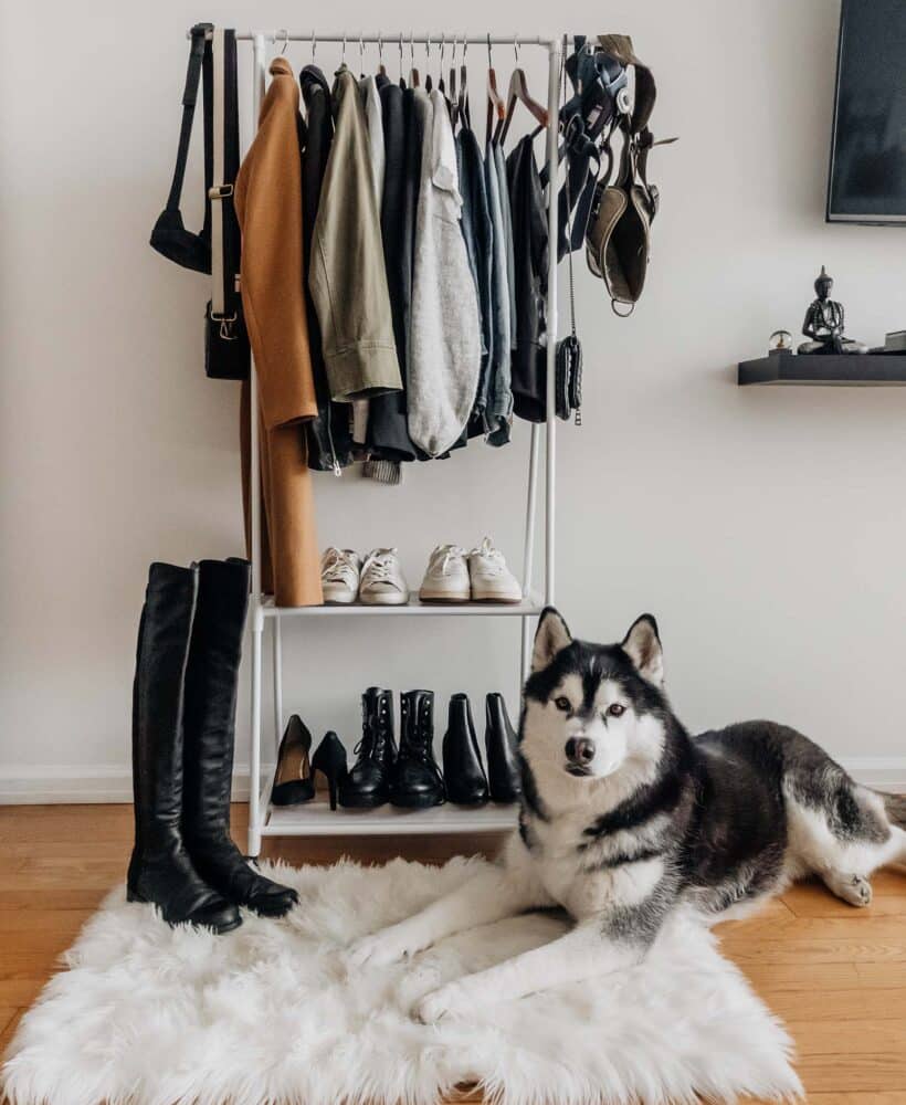 SIBE LIFE | 2022 Fall Capsule Wardrobe | Match with your Dog