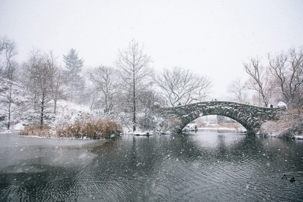 Central Park NYC in December | Things to do in NYC in December