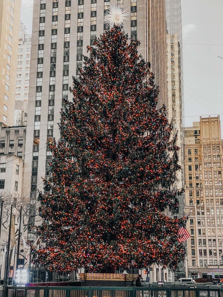 Rockefeller Christmas Tree| Things to do in NYC in December