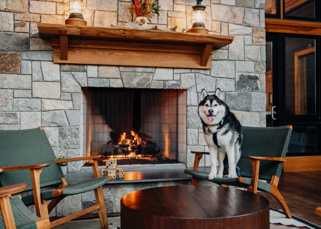 SIBE LIFE | Siberian Husky visits dog-friendly glamping resort at Terramor Outdoor Resort in Maine.