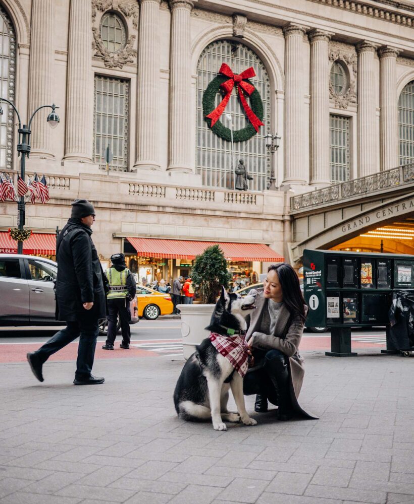 Things to do in NYC in December