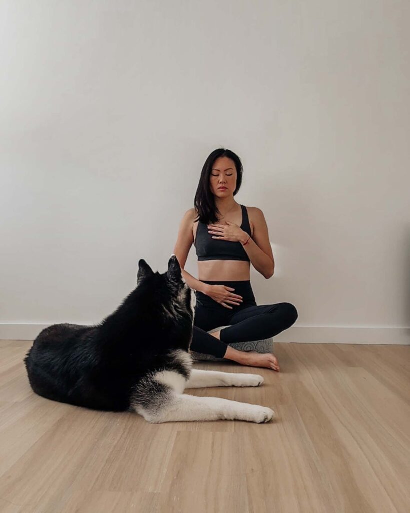 Meditation with dogs