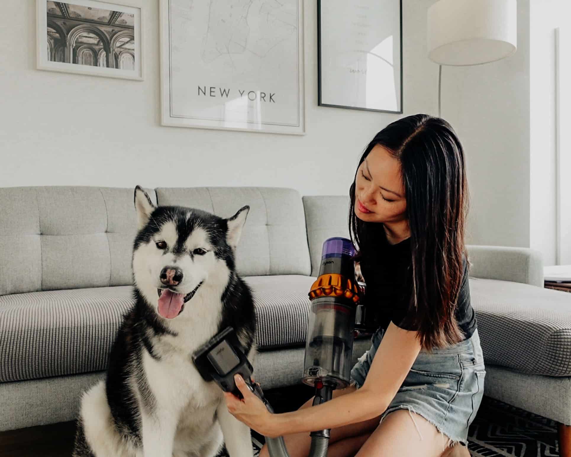 Best Vacuum for Husky Hair