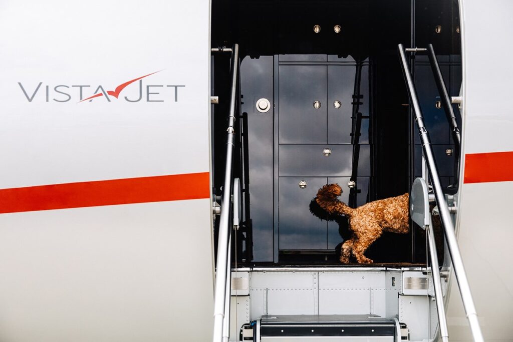 Flying with large dog in cabin | Dog enters VistaJet