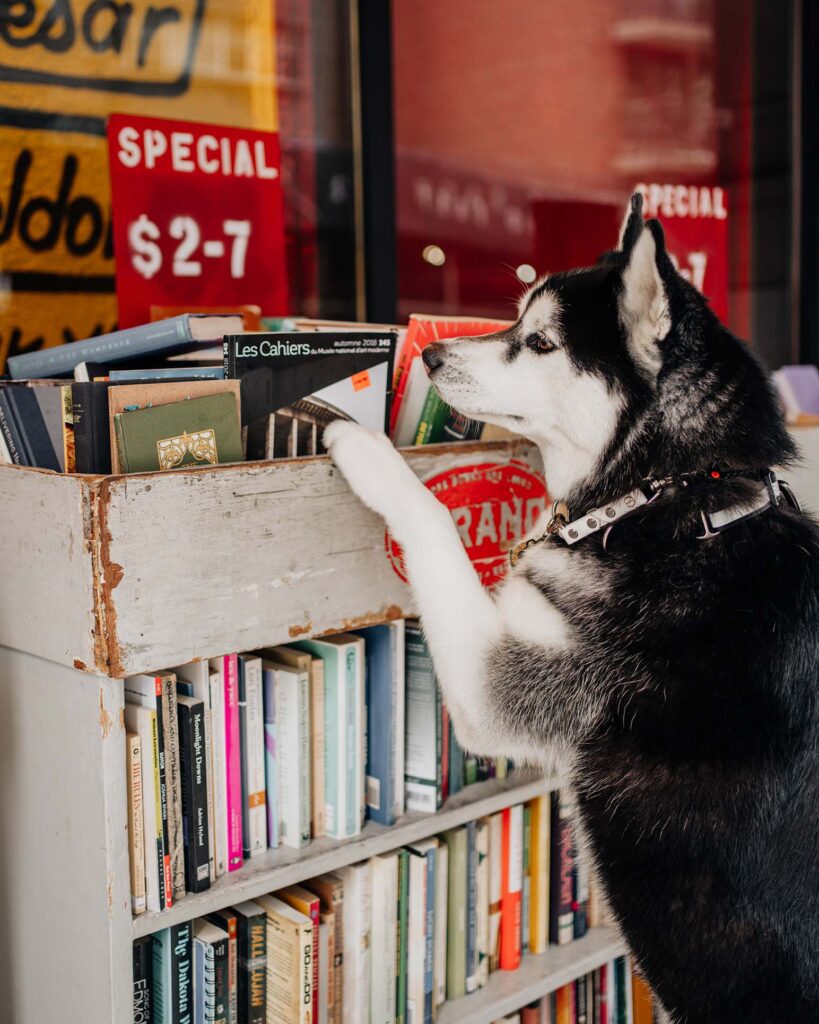 Dog Friendly New York City Bookstore Stands