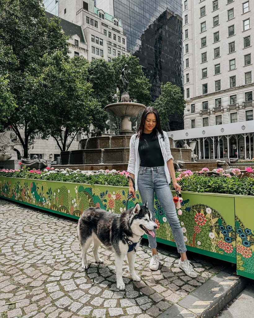 Dog Friendly New York City Fifth Avenue Pulitzer Fountain