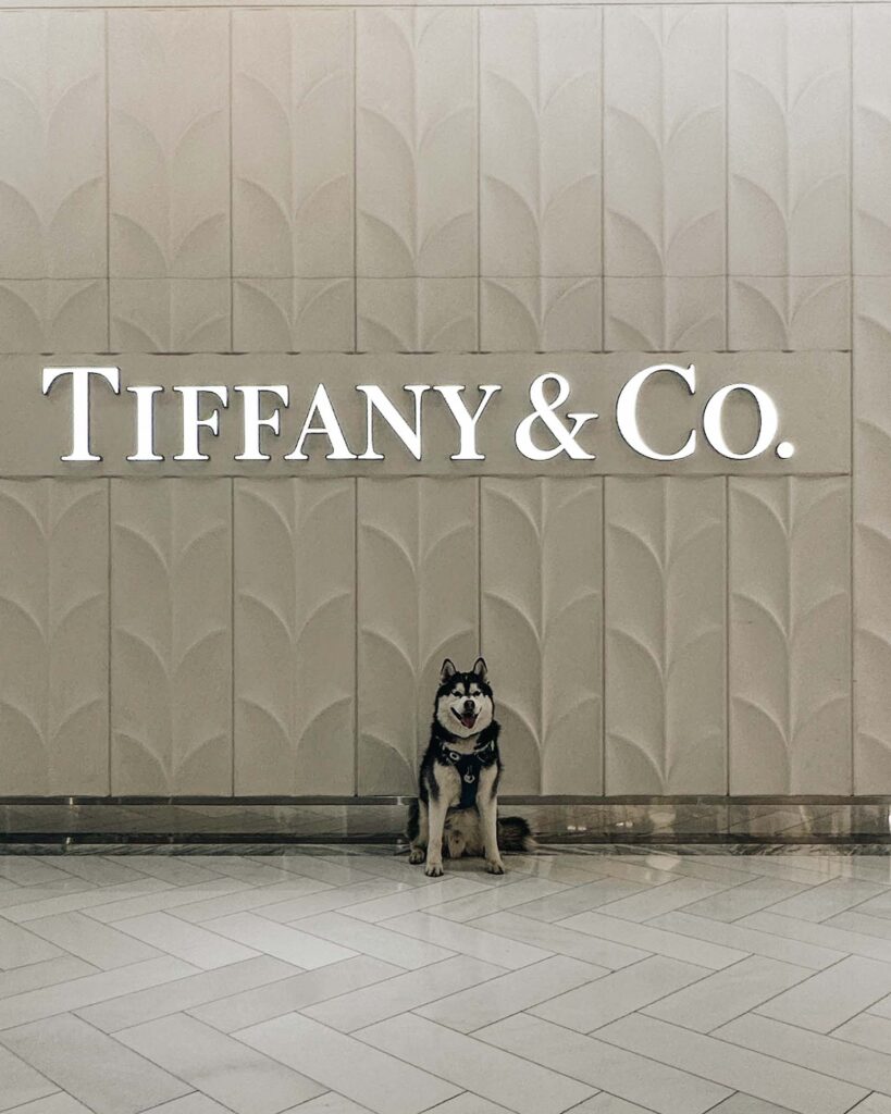 Dog Friendly New York City Shopping Malls Tiffany & Co