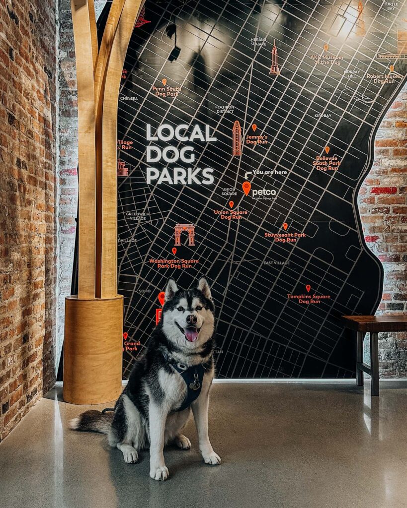 Dog Parks and Dog Runs In New York City