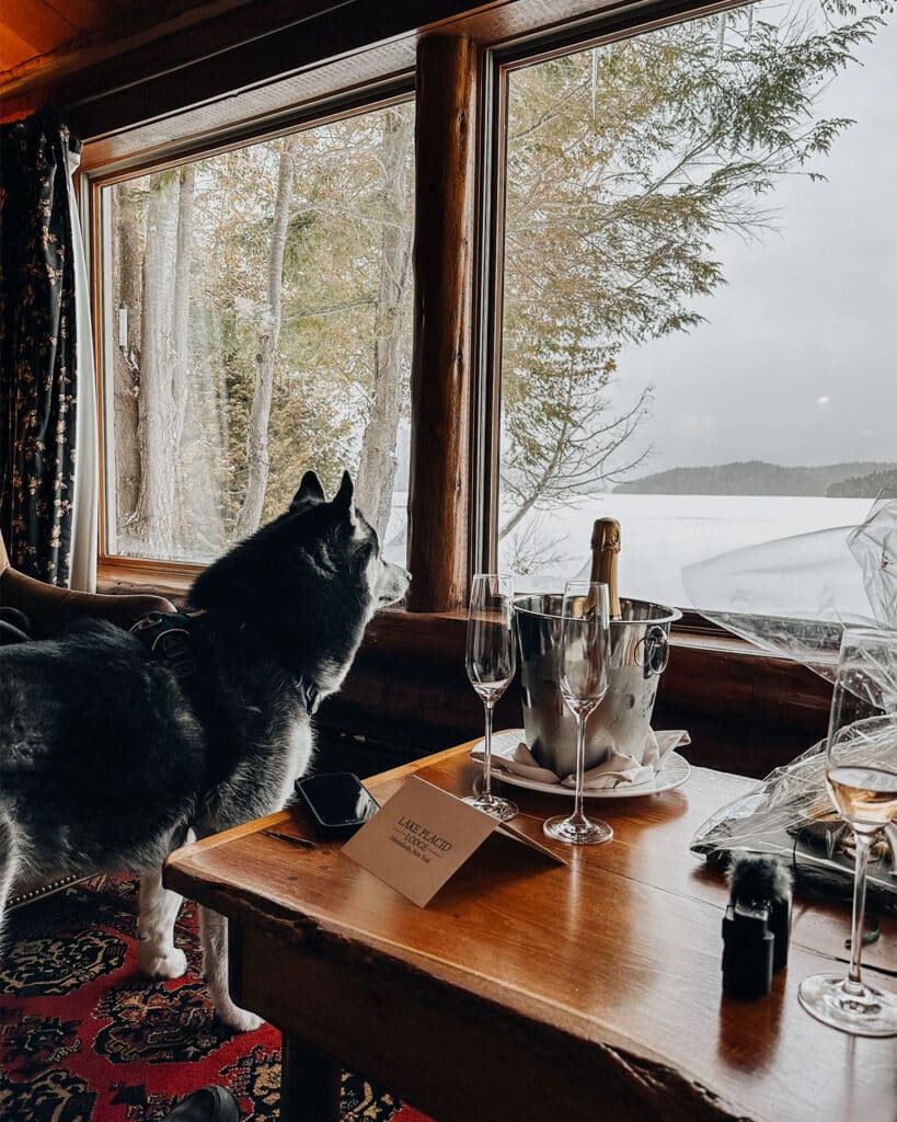 Siberian Husky looks out the window of Lake Placid Lodge cabin.