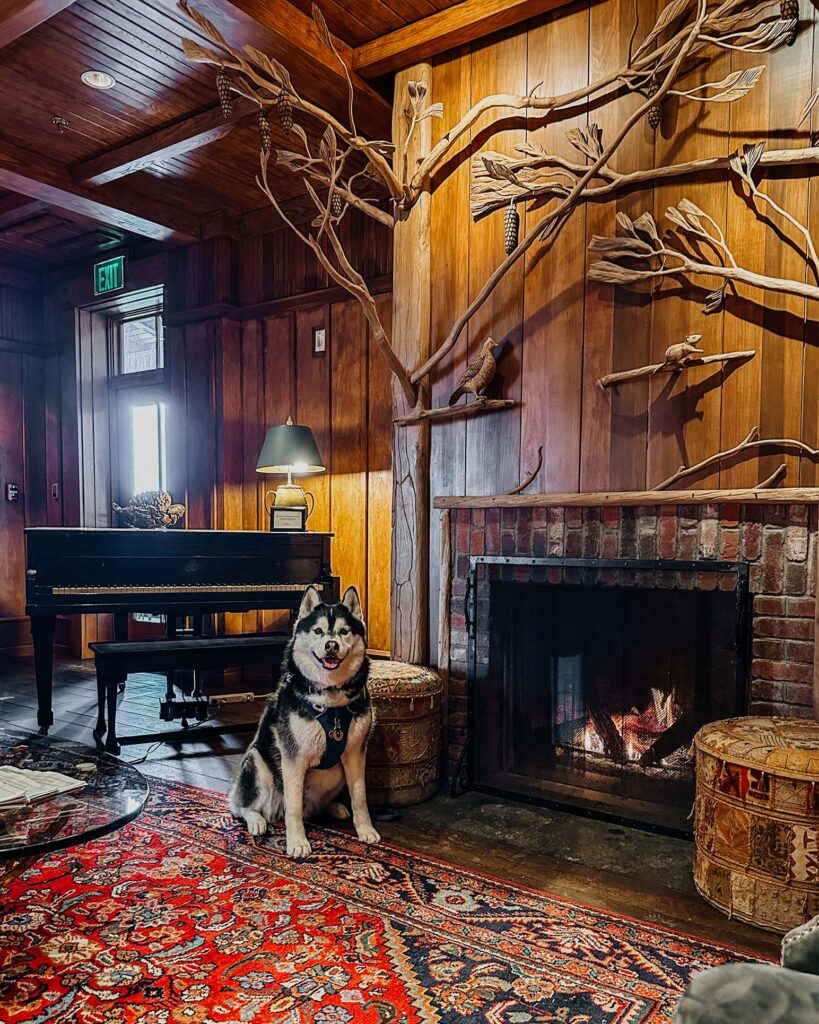 Dog Friendly Lake Placid Lodge